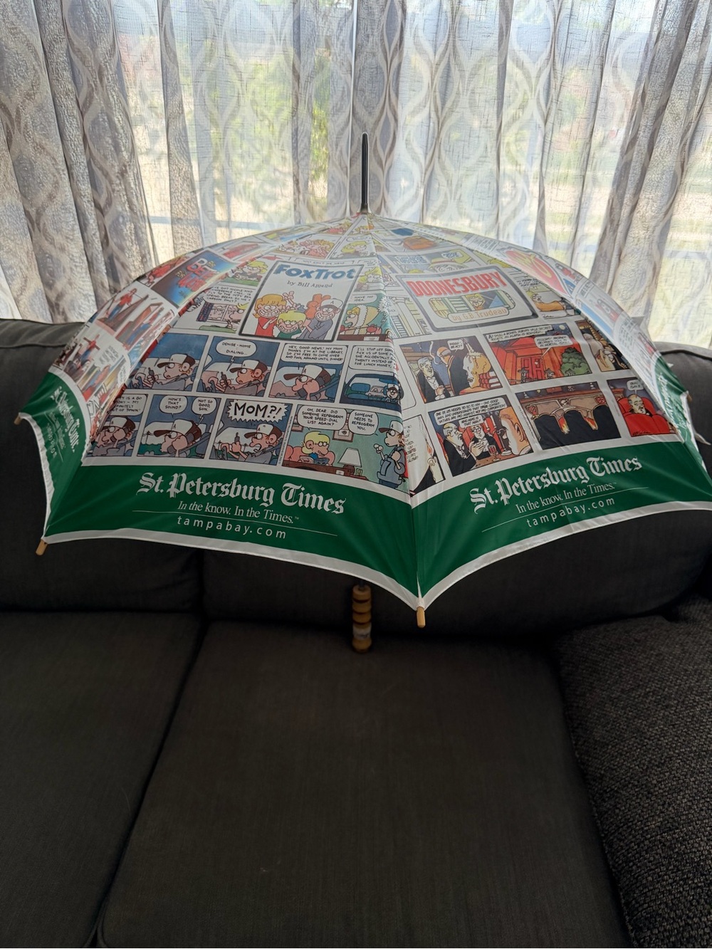 St Petersburg Times Comic Strip Umbrella Garfield Peanuts Dilbert Foxtrot